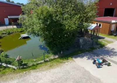 Teich auf dem Ferienhof