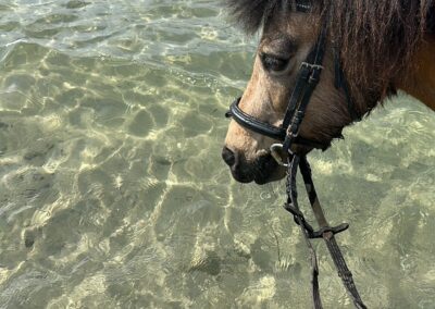 Birdy am Wasser